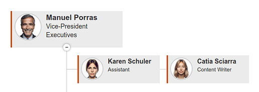 OrgChart-custom-assistant-levels